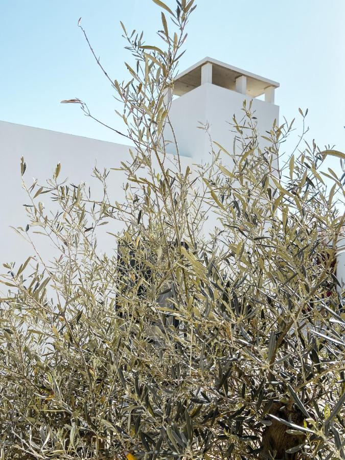 B&B Alma Do Campo Olhão Εξωτερικό φωτογραφία